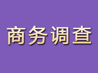 临夏商务调查